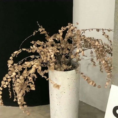 集安福瑞交流群